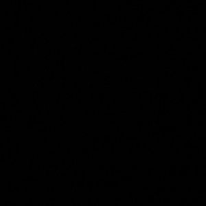 Meet your Posher, Leila